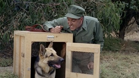 Gomer Untrains a Dog (1965) - Episode 5 poster and promotional image