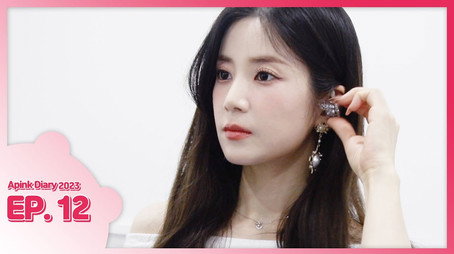 에이핑크 다이어리 Сезон 10
