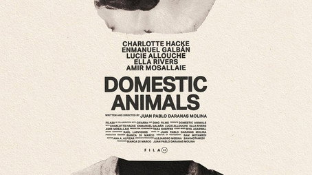 Domestic Animals (2025) poster
