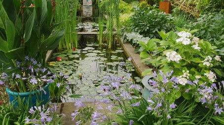 Episode 14 (None) - Episode 14 poster and promotional image