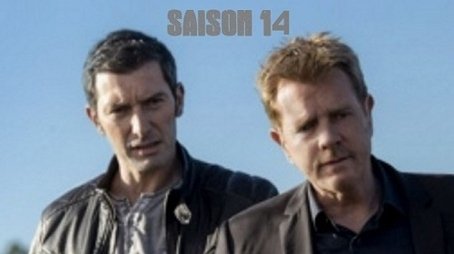 Season 14 (2020) - Season 14 poster and promotional image