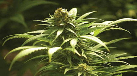 Segreti e misteri Stagione 2