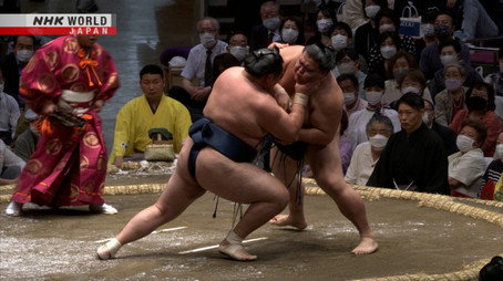 GRAND SUMO Highlights Сезон 11
