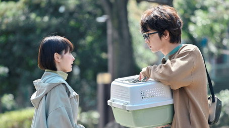 結婚するって、本当ですか Stagione 1