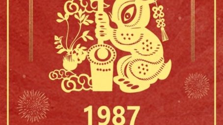 1987 Ding-Mao Year of the Rabbit (1987) - Season 5 poster and promotional image