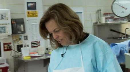Dr. G: Medical Examiner Сезон 7