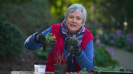 Episode 32 (2019) - Episode 32 poster and promotional image