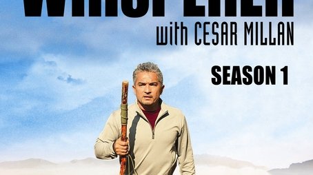 Season 1 (2004) - Season 1 poster and promotional image