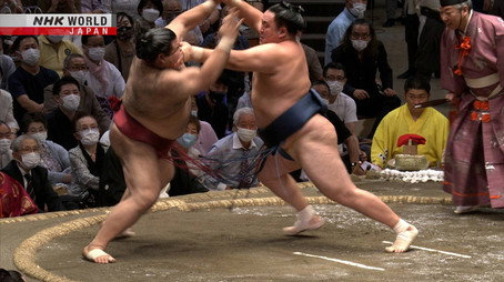 GRAND SUMO Highlights Сезон 13
