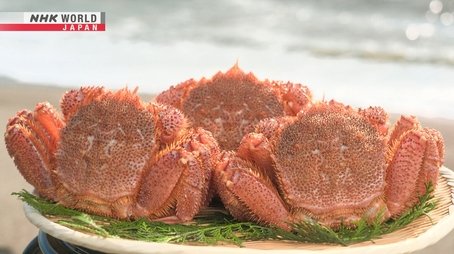 HORSEHAIR CRABS (2022) - Episode 24 poster and promotional image