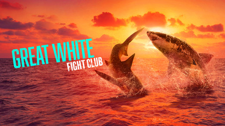 Shark Week Сезон 36