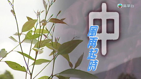 Episode 240 (2024) - Episode 240 poster and promotional image