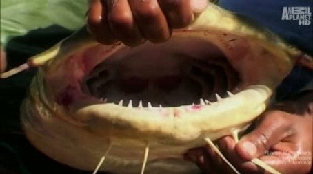 River Monsters Сезон 0
