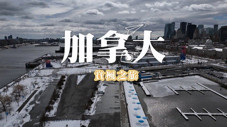 730 玩返轉 Сезон 1
