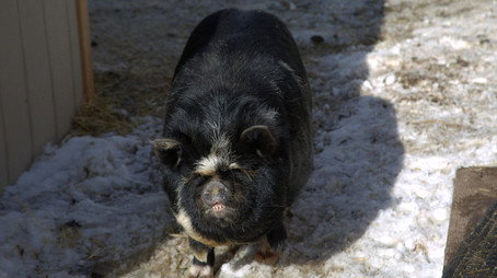 Dr. Oakley, Yukon Vet Сезон 10