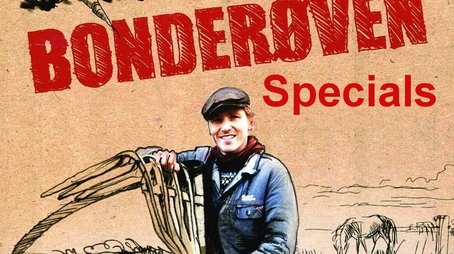Specials (2013) - Season 0 poster and promotional image