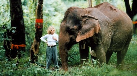 The White Elephants of Thailand with Meg Ryan (2002) - Episode 14 poster and promotional image