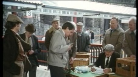A Bird in the Hand is Worth Two in Shepherd's Bush (1991) - Episode 7 poster and promotional image