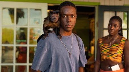 Bad Monkey13