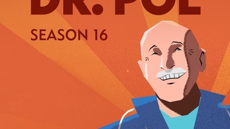 Season 16 (2020) - Season 16 poster and promotional image