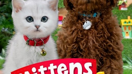 Mittens & Pants (2023) poster