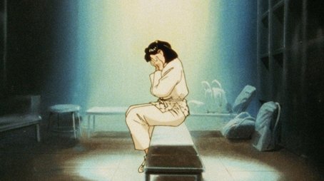 Swan Lake flap in the world (1991) - Episode 85 poster and promotional image