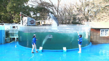 Japan's Top Inventions Сезон 2