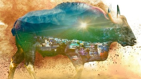 Nilgiris- A Shared Wilderness (2024) poster