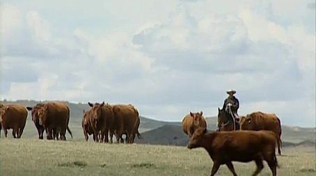 Cowboy Tech (2005) - Episode 36 poster and promotional image