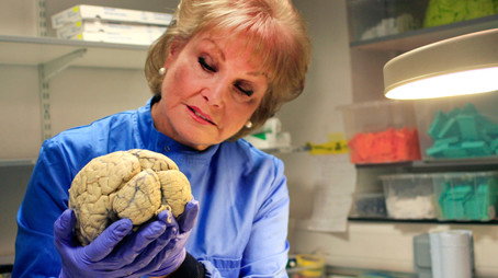 The Truth About... Sezóna 1