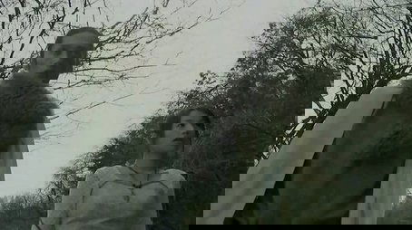 Berserk Fate