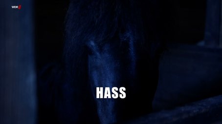 Episode 15 (2017) - Episode 15 poster and promotional image