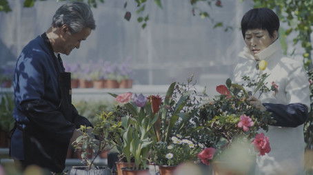 Episode 21 (2020) - Episode 21 poster and promotional image