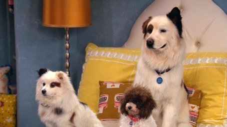 The Puppies Talk (2015) - Episode 18 poster and promotional image
