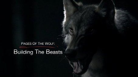 The Pages of the Wolf: Building the Beasts (2011) - Episode 15 poster and promotional image
