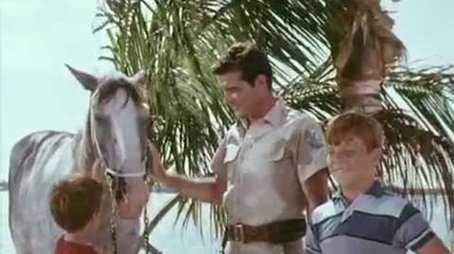 Flipper and the Horse Thieves (1965) - Episode 12 poster and promotional image
