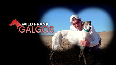 Wild Frank Сезон 15