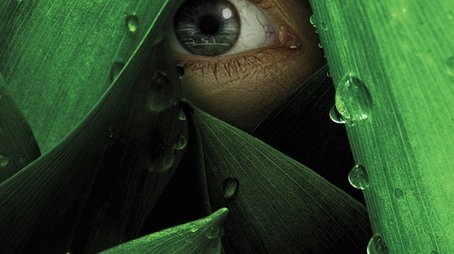 The River (2012) poster