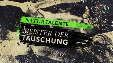 Episode 221 (2016) - Episode 221 poster and promotional image