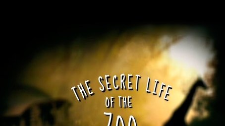 The Secret Life of the Zoo (2016) poster