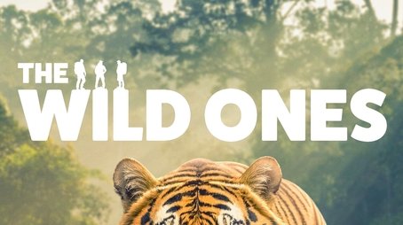 The Wild Ones (2025) poster