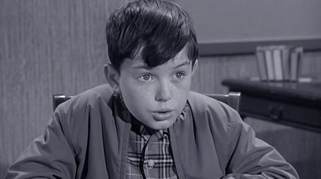 Wally's Orchid (1960) - Episode 27 poster and promotional image