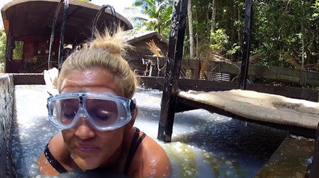 I'm a Celebrity...Get Me Out of Here! Сезон 12