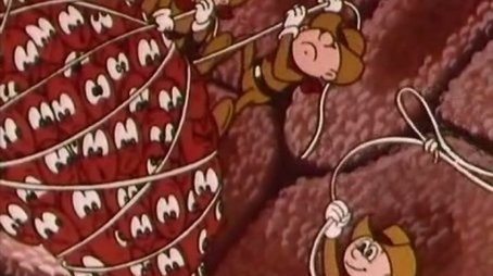 The Chain Of Life