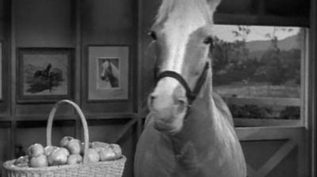 The Price of Apples (1963) - Episode 22 poster and promotional image