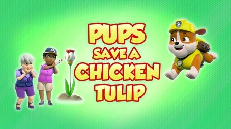 Pups Save a Chicken Tulip (2022) - Episode 31 poster and promotional image