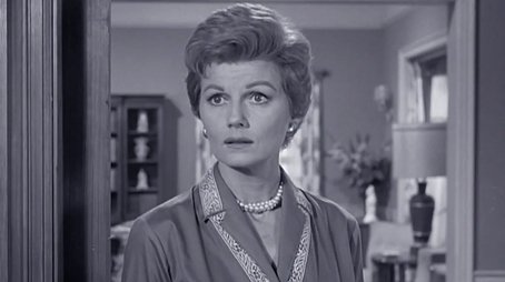 Beaver's Monkey (1960) - Episode 29 poster and promotional image