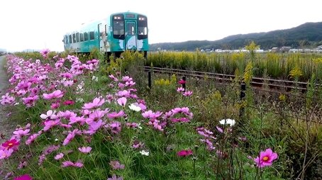 Tenryu Hamanako Railroad: Working with the Community to Revitalize the Railway (2020) - Episode 14 poster and promotional image