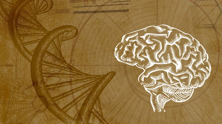 Inner Evolution Évad 1