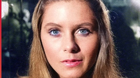 Coração Alado (2024) - Season 3 poster and promotional image